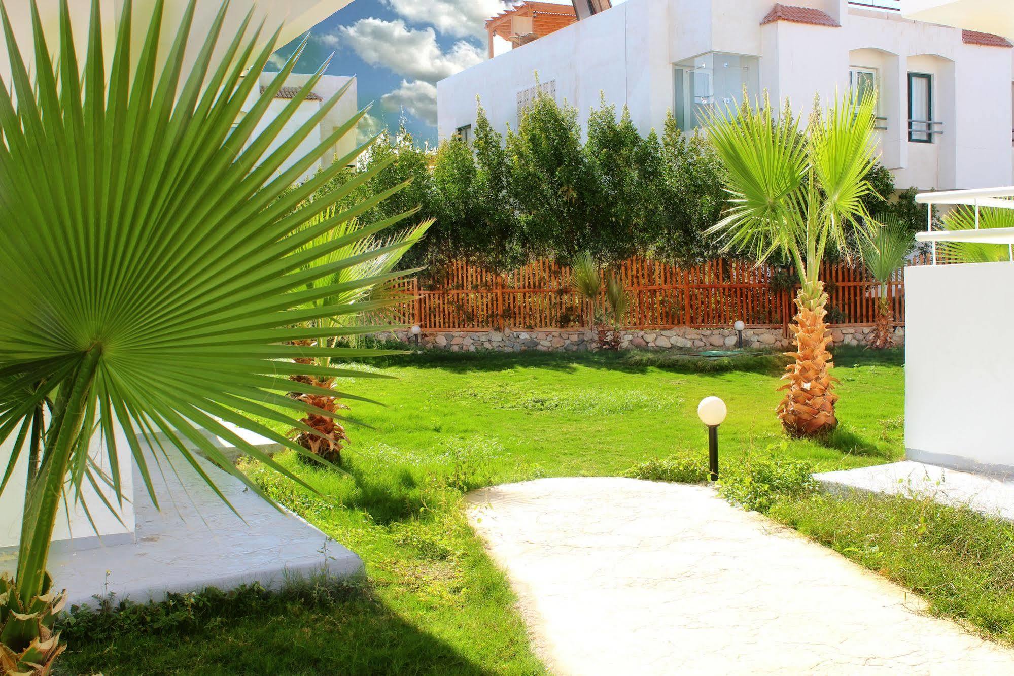 Viking Club Hotel Sharm El Sheikh Exterior foto